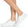 鞋子 女士 球鞋基本款 Blackstone PL97 白色
