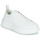 鞋子 女士 球鞋基本款 EMPORIO ARMANI EAX PROMNA 白色