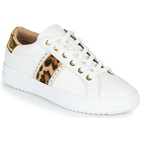 鞋子 女士 球鞋基本款 Geox 健乐士 PONTOISE 白色 / Leopard
