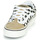 鞋子 女士 球鞋基本款 Vans 范斯 SHAPE NI 米色 / 白色