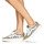 鞋子 女士 球鞋基本款 Vans 范斯 SHAPE NI 米色 / 白色
