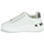 鞋子 女士 球鞋基本款 Steve Madden 史蒂夫·马登 GLACIAL 白色 / 银灰色