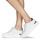 鞋子 女士 球鞋基本款 Steve Madden 史蒂夫·马登 GLACIAL 白色 / 银灰色