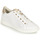 鞋子 女士 球鞋基本款 Geox 健乐士 D JAYSEN B 白色 / 金色