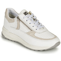 鞋子 女士 球鞋基本款 Geox 健乐士 D AIRELL A 白色 / 米色