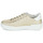 鞋子 女士 球鞋基本款 Café Noir JANISA 白色 / 金色