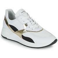 鞋子 女士 球鞋基本款 Nero Giardini FILOMENE 白色 / 黑色 / 金色
