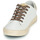 鞋子 女士 球鞋基本款 Le Temps des Cerises AUSTIN 白色 / 金色