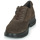 鞋子 女士 球鞋基本款 Scholl BRISTOL ZIP 棕色