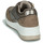 鞋子 女士 球鞋基本款 Xti 波尔蒂伊 43124 棕色 / 古銅色