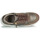 鞋子 女士 球鞋基本款 Xti 波尔蒂伊 43124 棕色 / 古銅色