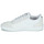 鞋子 男士 球鞋基本款 Vans 范斯 CRUZE TOO CC 白色