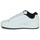 鞋子 男士 球鞋基本款 DC Shoes COURT GRAFFIK 白色 / 黑色