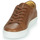 鞋子 男士 球鞋基本款 Carlington 卡尔顿 SERIAL 棕色