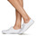 鞋子 女士 球鞋基本款 Superdry 极度干燥 Low Pro Classic Sneaker 白色