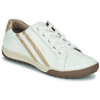 鞋子 女士 球鞋基本款 Damart 69985 白色