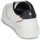 鞋子 女士 球鞋基本款 Tommy Hilfiger Elevated Cupsole Sneaker 白色