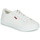 鞋子 女士 球鞋基本款 Levi's 李维斯 MALIBU 2.0 白色