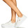鞋子 女士 球鞋基本款 Levi's 李维斯 TIJUANA 白色