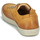 鞋子 男士 球鞋基本款 Pataugas CARL 驼色