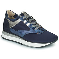 鞋子 女士 球鞋基本款 Adige XERUS 2H V3 蓝色