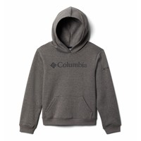 衣服 男孩 卫衣 Columbia 哥伦比亚 COLUMBIA TREK HOODIE 灰色