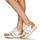 鞋子 女士 球鞋基本款 Serafini TORINO 白色 / 米色 / 棕色