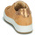 鞋子 女士 球鞋基本款 Primigi (adulte) 1659033 驼色