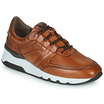 鞋子 男士 球鞋基本款 Martinelli NEWPORT 棕色