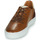 鞋子 男士 球鞋基本款 Carlington 卡尔顿 FREDDI 棕色