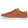 鞋子 男士 球鞋基本款 Fred Perry BASELINE LEATHER 棕色