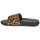 鞋子 女士 拖鞋 FitFlop IQUSHION Leopard / 黑色