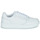 鞋子 女士 球鞋基本款 艾力士 Tevo Cupsole 白色