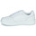 鞋子 女士 球鞋基本款 艾力士 Tevo Cupsole 白色