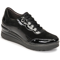 鞋子 女士 球鞋基本款 Stonefly 斯通富莱 CREAM 42 黑色