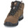 鞋子 女士 登山 Columbia 哥伦比亚 NEWTON RIDGE PLUS II SUEDE WP 棕色