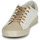 鞋子 女士 球鞋基本款 Le Temps des Cerises SOHO 白色 / 米色 / 金色