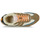 鞋子 女士 球鞋基本款 Serafini LADY D 米色 / 棕色