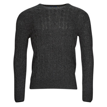 衣服 男士 羊毛衫 Polo Ralph Lauren S224SC03-LSCABLECNPP-LONG SLEEVE-PULLOVER 灰色 / -煤灰色 / 深色 / 花崗岩色