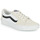 鞋子 球鞋基本款 Vans 范斯 SK8-LOW 白色