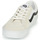 鞋子 球鞋基本款 Vans 范斯 SK8-LOW 白色