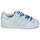 鞋子 女士 球鞋基本款 Adidas Originals 阿迪达斯三叶草 SUPERSTAR W 白色 / 蓝色