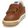 鞋子 男孩 球鞋基本款 GBB KIWI 棕色
