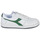 鞋子 球鞋基本款 Diadora 迪亚多纳 MAGIC BASKET LOW ICONA 白色 / 绿色