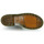 鞋子 女士 短筒靴 Dr Martens 1460 米色 / 多彩