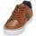 鞋子 男士 球鞋基本款 Levi's 李维斯 TURNER 2.0 棕色
