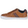 鞋子 男士 球鞋基本款 Levi's 李维斯 TURNER 2.0 棕色