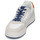 鞋子 男士 球鞋基本款 Levi's 李维斯 GLIDE 白色 / 米色 / 蓝色