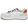 鞋子 男士 球鞋基本款 Levi's 李维斯 GLIDE 白色 / 米色 / 蓝色