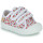 鞋子 女孩 球鞋基本款 Citrouille et Compagnie MINOT 红色 / 多彩 / 花